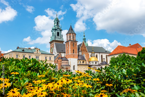View of the Wawel cathedral on the Wawel Hill in Krakow, Poland