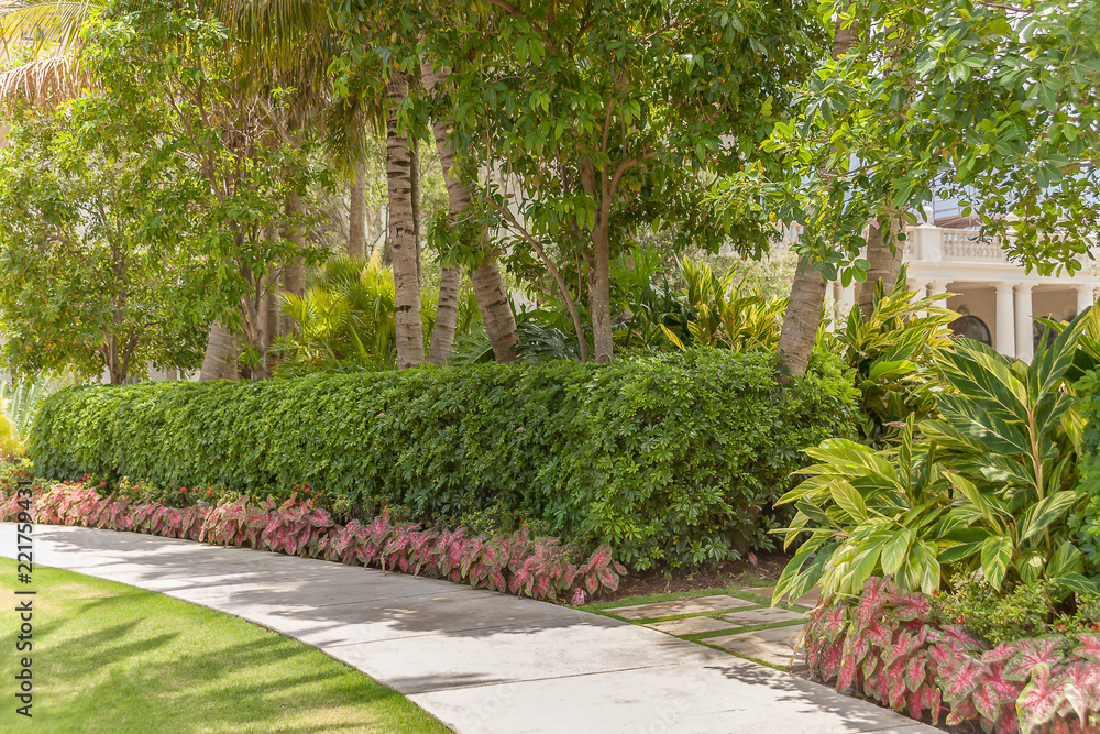 Naklejka premium Manicured sidewalk detailed with grass, green shrubs, trees and warm pop of color.