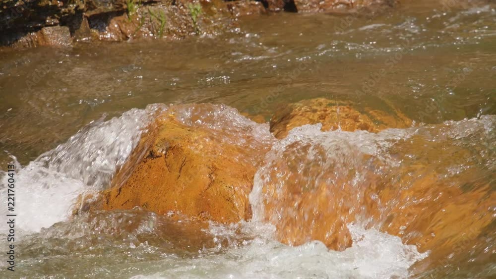 custom made wallpaper toronto digitalSmall Water Stream In The Forest