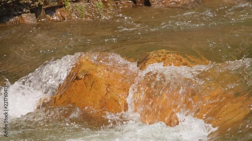 Wallpaper Mural Small Water Stream In The Forest Torontodigital.ca