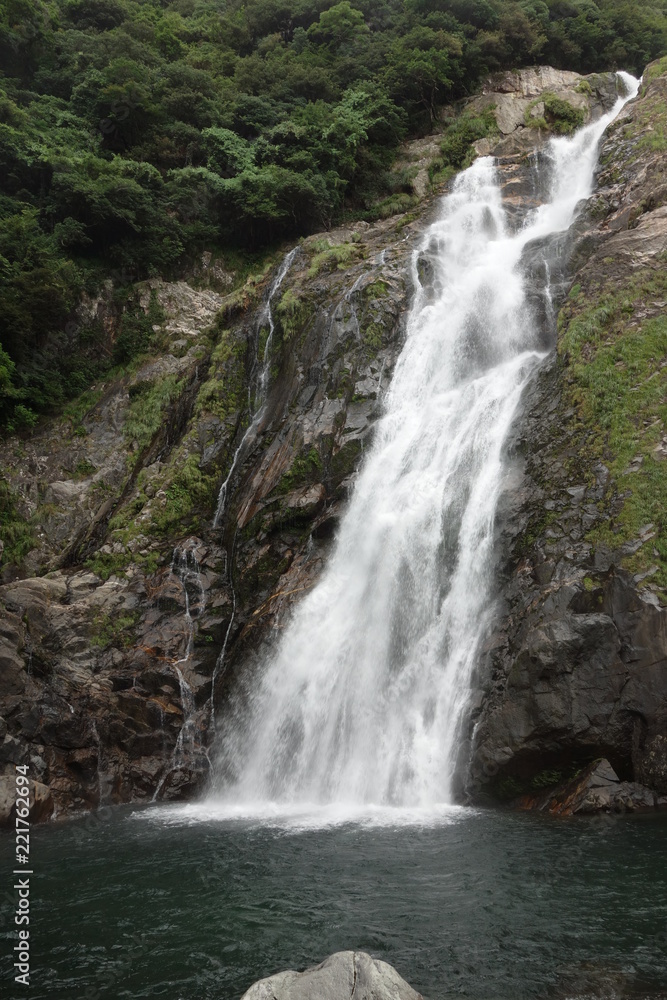 屋久島 森 滝 屋久島 森 滝