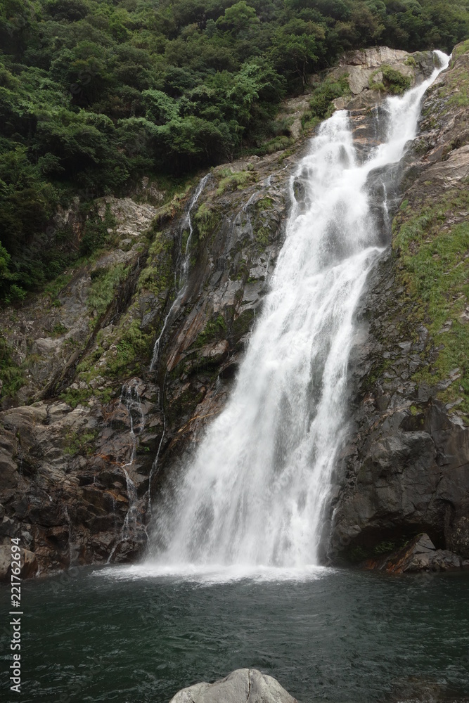 屋久島　森　滝