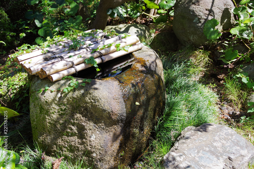 Fototapeta premium つくばい