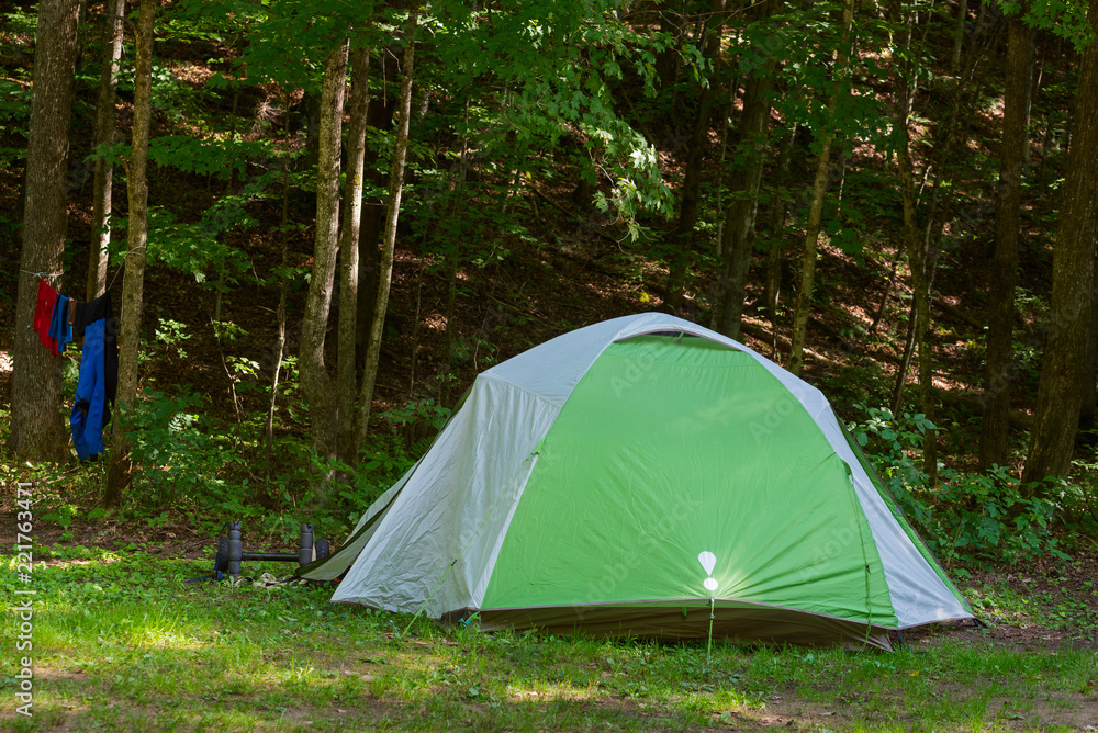 Green tent in a forest