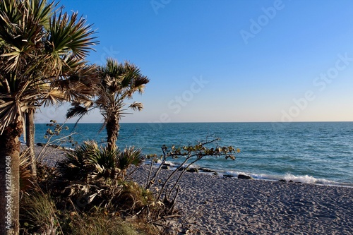 Fototapeta Naklejka Na Ścianę i Meble -  Oceanview with palm trees swaying in the breeze on a sunny day