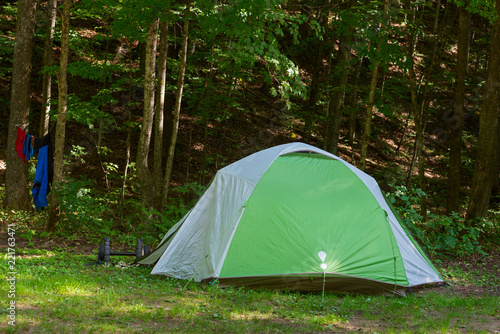 Green tent in a forest