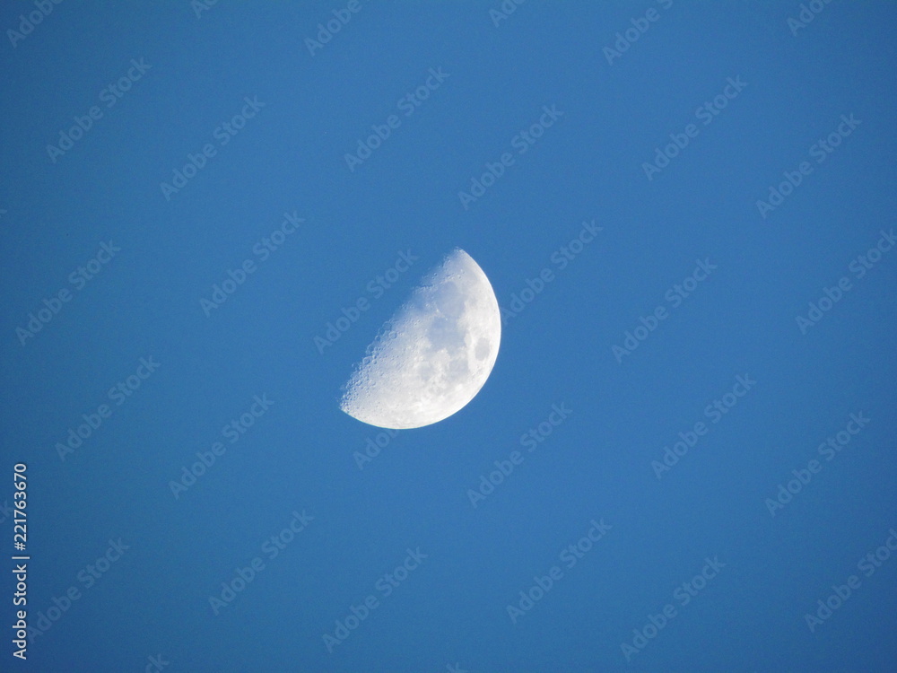 Moon Moon