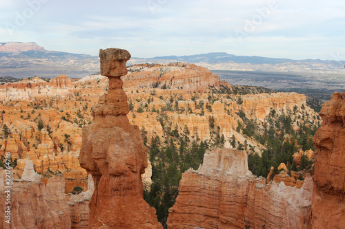 Rote Gesteinssäulen des Bryce Canyon in Utah