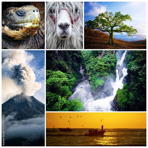 Ecuador. Nature photo collage