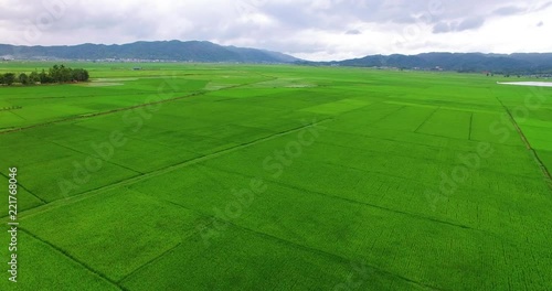 Aerial view of fresh green rice paddy in Yuannan China photo