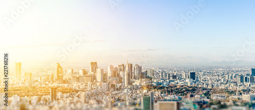 Business and culture concept - panoramic modern city skyline bird eye aerial view under dramatic blue sky in Tokyo, Japan. miniature lens tilt shift blur effect