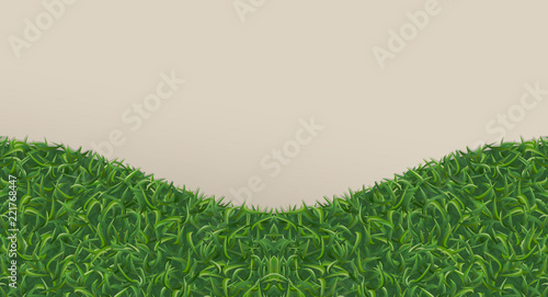 Abstract green grass for background. Vector.
