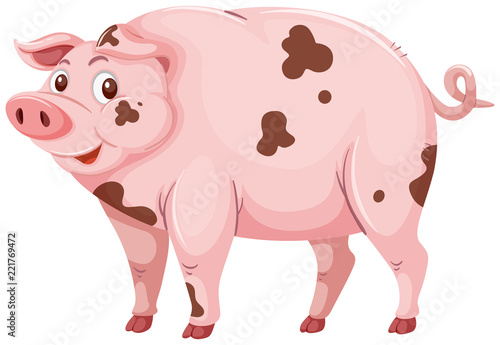A dirty mud pig