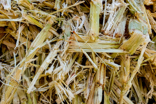 Sugarcane Bagasse. Close up of bagasse is the fibrous material left over from the sugarcane extraction process of sugar factory industrial. - background texture. selective focus.