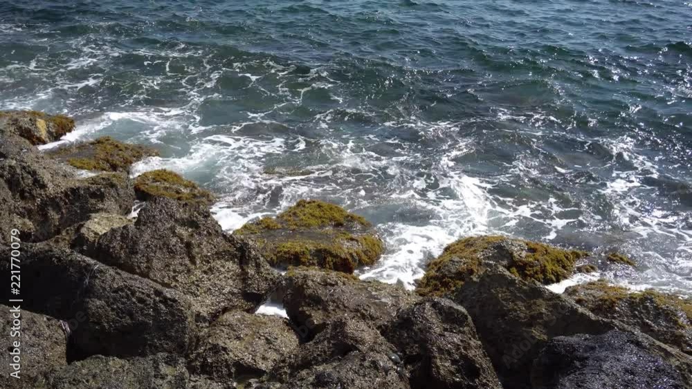 Sea surf. Running waves break on rocks on the beach Sea surf. Running waves break on rocks on the beach