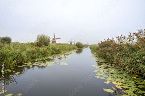 Kinderdijk in holland photo