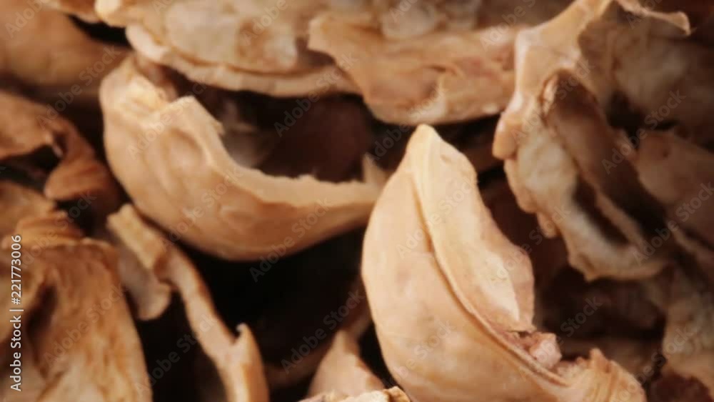Gusci di noci secche Gusci di noci secche
