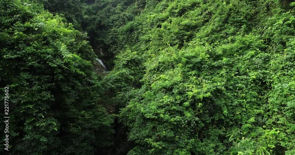 Aerial View of Waterfall in the Tropical Rainforest Mountains Aerial View of Waterfall in the Tropical Rainforest Mountains