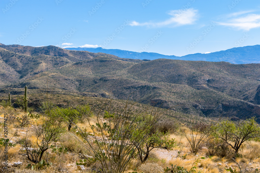 Desert View - Road Up Mount Lemmon, Arizona