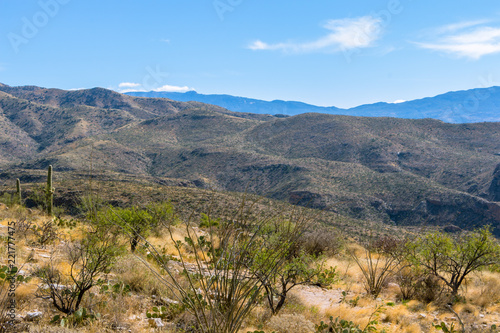 Desert View - Road Up Mount Lemmon, Arizona