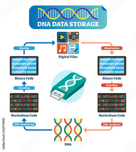 DNA data storage infographic vector illustration. Explained technology.