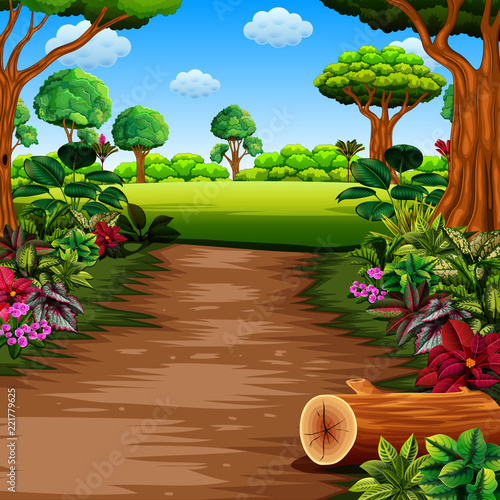 the forest with footpath and beautiful plants both side 
