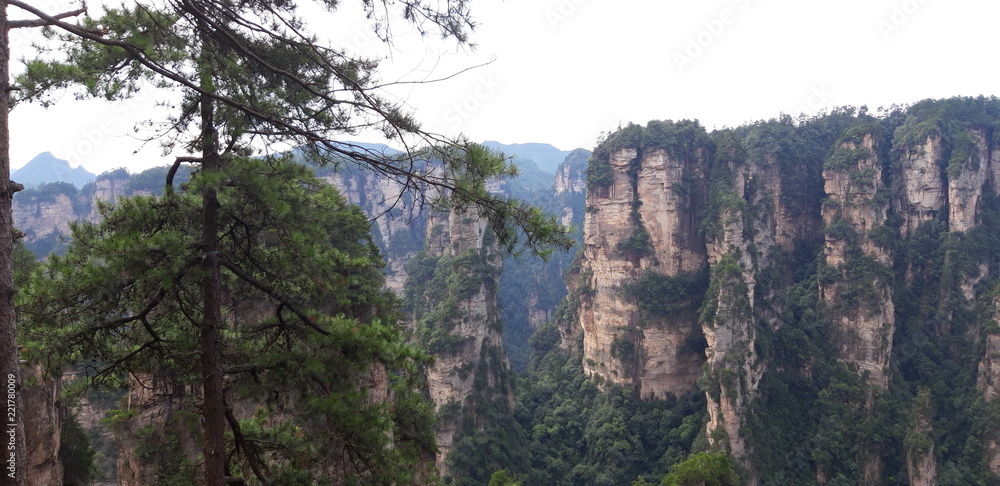 Avatar mountains in Zhangjiajie city district, Hunan province, China