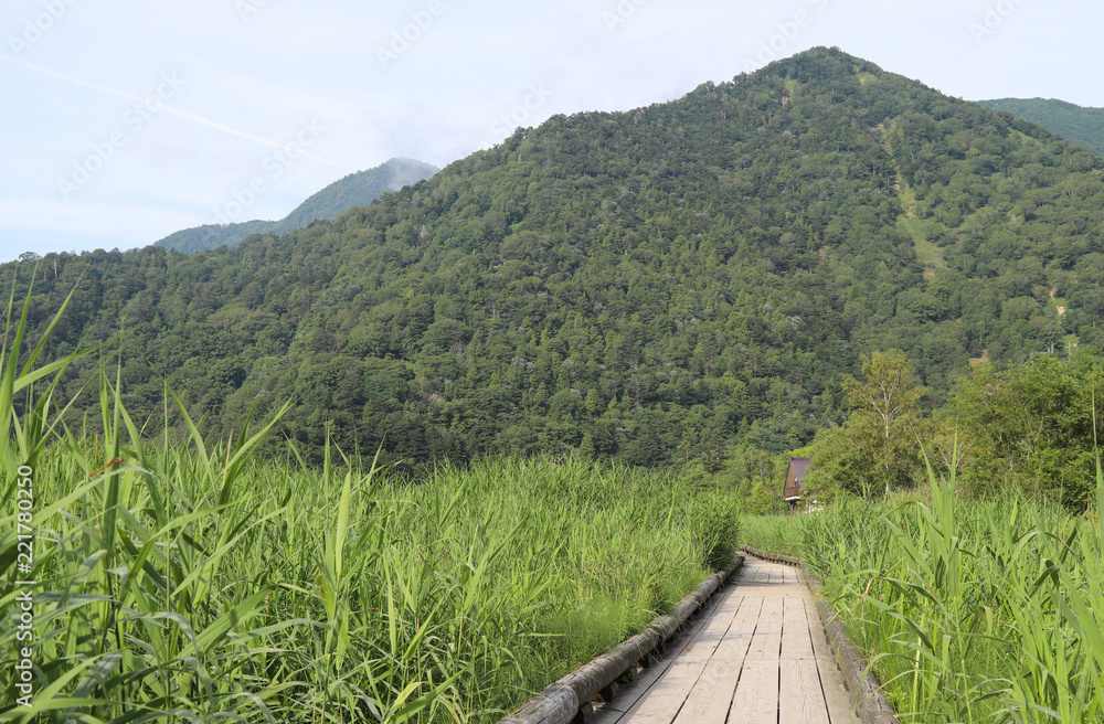 Scenery of wooden walkway in green grass field with mountain and cloudy sky background.