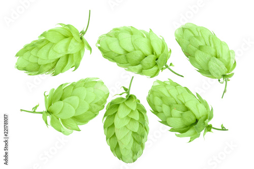 hop cones isolated on white background close-up. Top view. Flat lay pattern