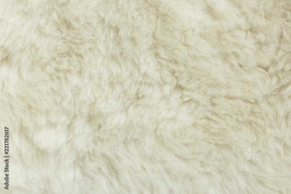 White shaggy natural sheep fur texture for background White shaggy natural sheep fur texture for background
