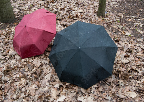 Black and burgundy umbrellas on the leaves in the park.