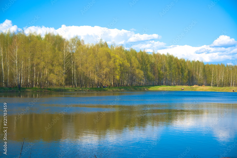 Forest on the shore of the pond in the spring. - obrazy, fototapety, plakaty 