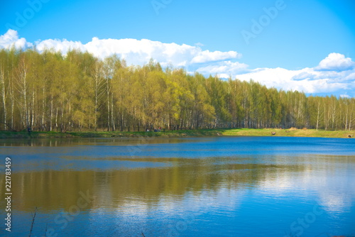 Forest on the shore of the pond in the spring.