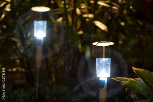 Night garden LED lights with a blue glow.