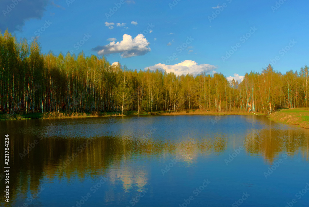 Grove on the shore of the pond in the spring. Russia.