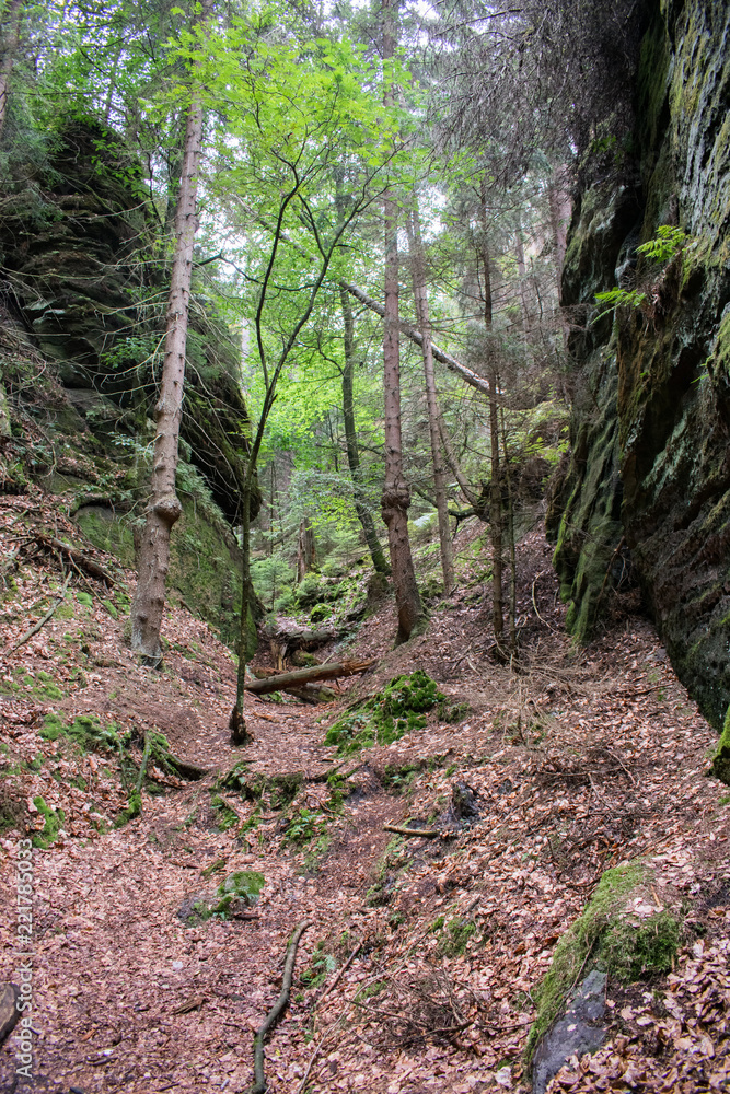 Obraz premium Die Schwedenlöcher