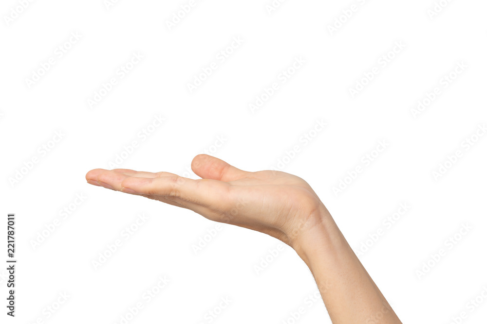 Close-up of empty woman hand isolated on white background with clipping path Close-up of empty woman hand isolated on white background with clipping path
