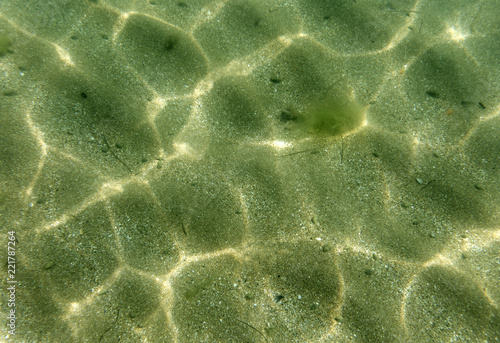 seabed, underwater photography