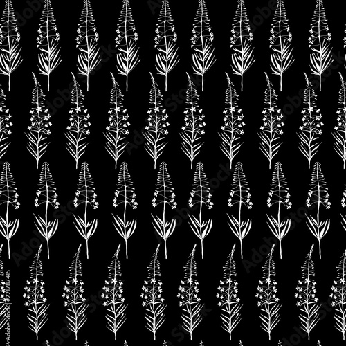 Vector floral seamless pattern with hand drawn  summer wild  flowers.