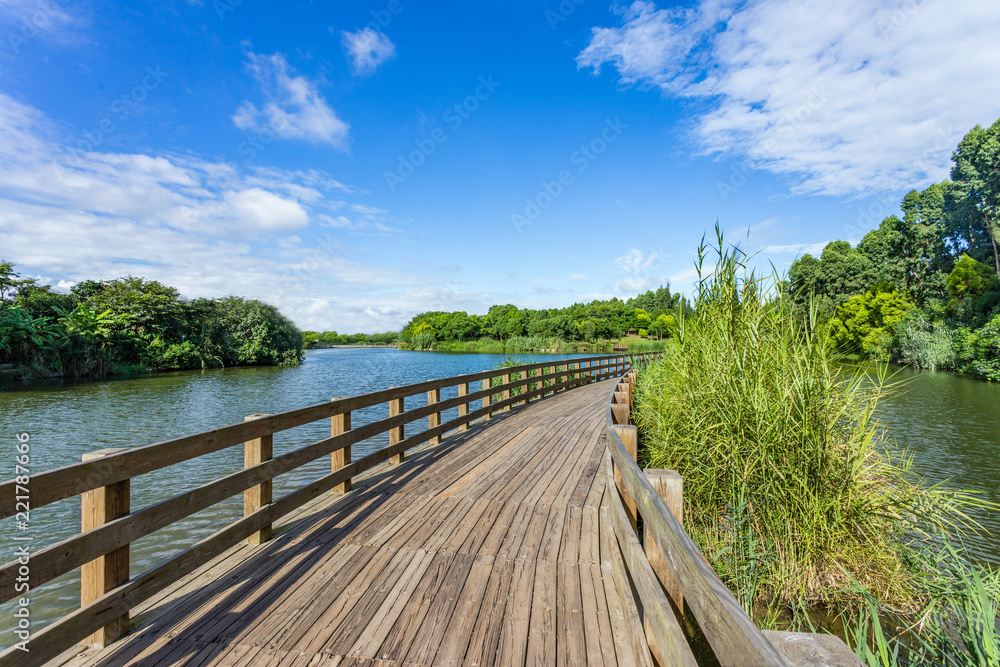 Obraz premium wooden bridge over the river