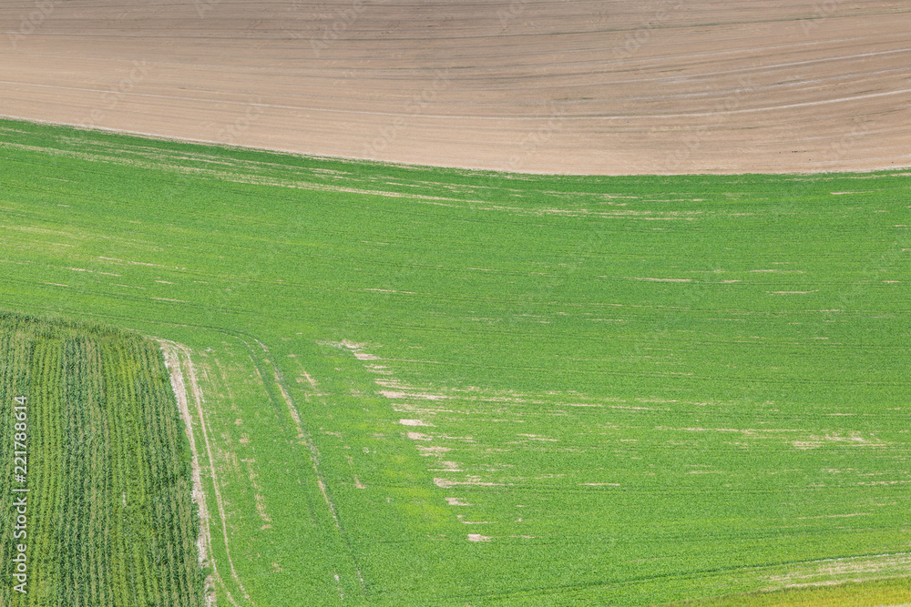 A full frame photograph of agricultural fields in Sussex, during late summer