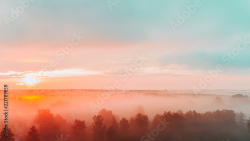 Aerial view at sunrise. Sky. Forest. Trees. Summer. Nature. Ukraine. © viacheslav