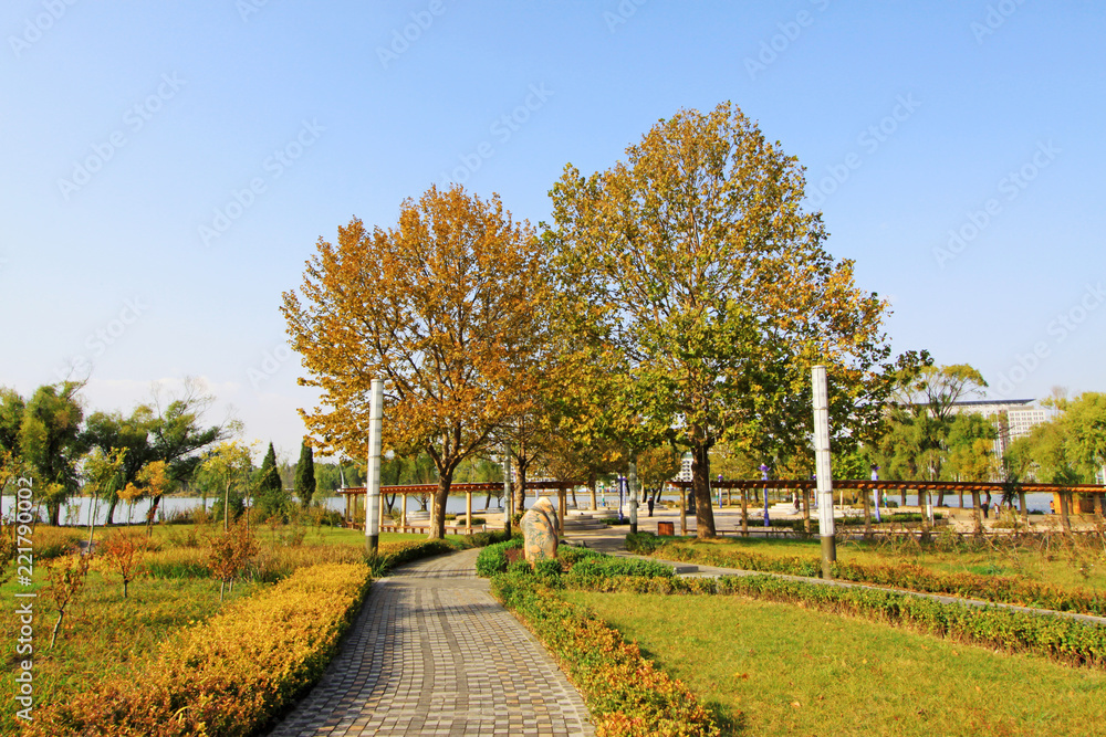 flagstone walkway in a park