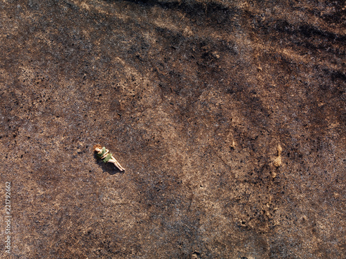A woman lies on the scorched earth - a view from above