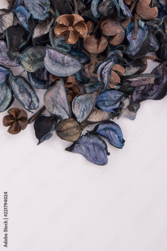 Blue texture of dried flowers and a place for writing. Blue texture of dried flowers and a place for writing.