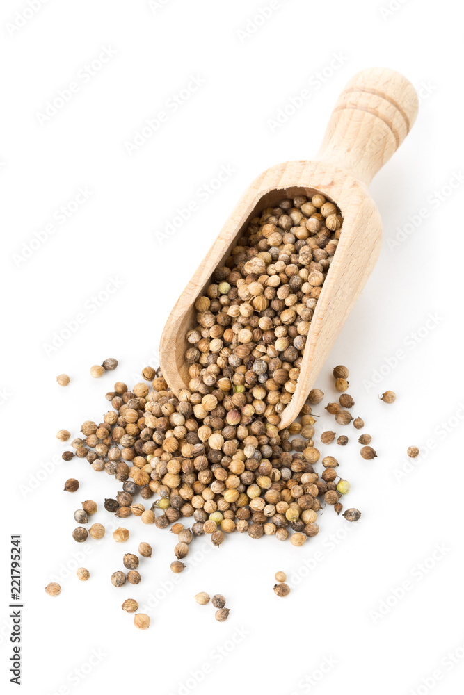 Raw, unprocessed organic coriander or cilantro seeds in wooden scoop on white Raw, unprocessed organic coriander or cilantro seeds in wooden scoop on white