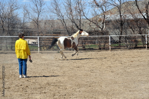 Mature female senior bonding with her horse on the ranch outdoors.