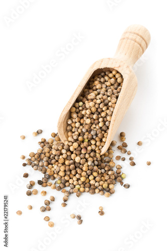 Raw, unprocessed organic coriander or cilantro seeds in wooden scoop on white