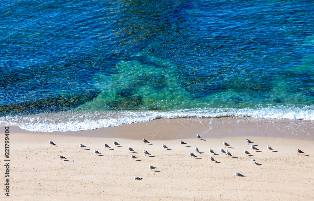 The art and nature of the Portugal