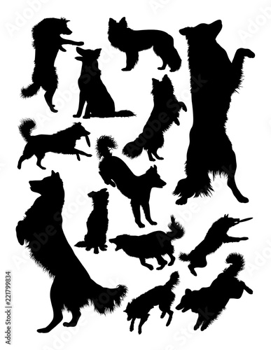 Collie dog animal silhouette. Good use for symbol, logo, web icon, mascot, sign, or any design you want.